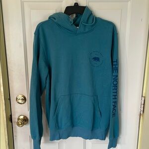 The North Face Teal Pullover Sweatshirt with Hood